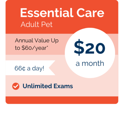 Lefferts-VIPet-Plan_pricing_Essential_Modern-400x365